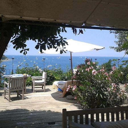 Apartments Olive Garden Piran Dış mekan fotoğraf