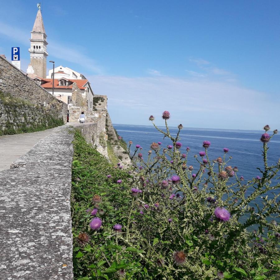 Apartments Olive Garden Piran Dış mekan fotoğraf