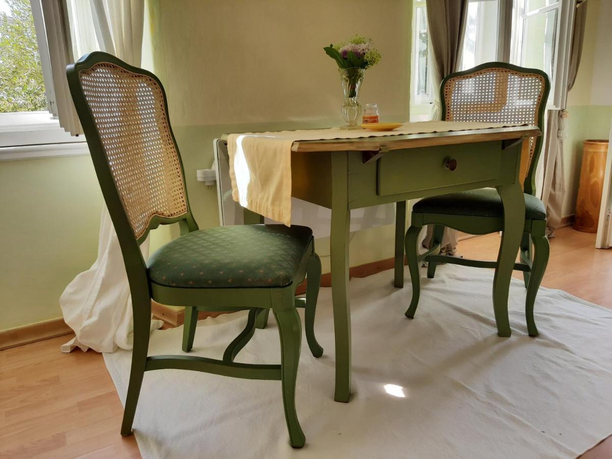 Apartments Olive Garden Piran Dış mekan fotoğraf