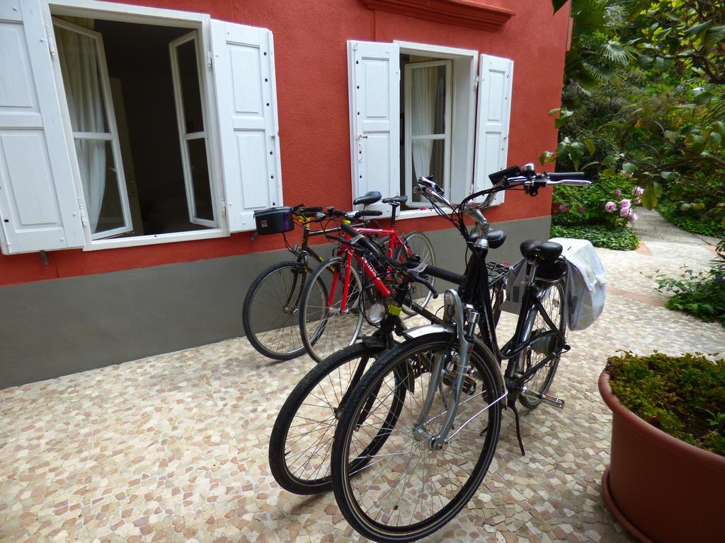 Apartments Olive Garden Piran Dış mekan fotoğraf