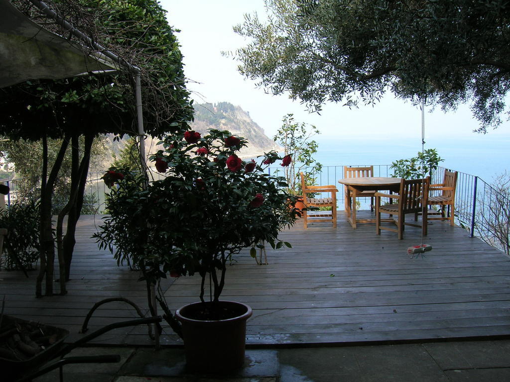 Apartments Olive Garden Piran Dış mekan fotoğraf